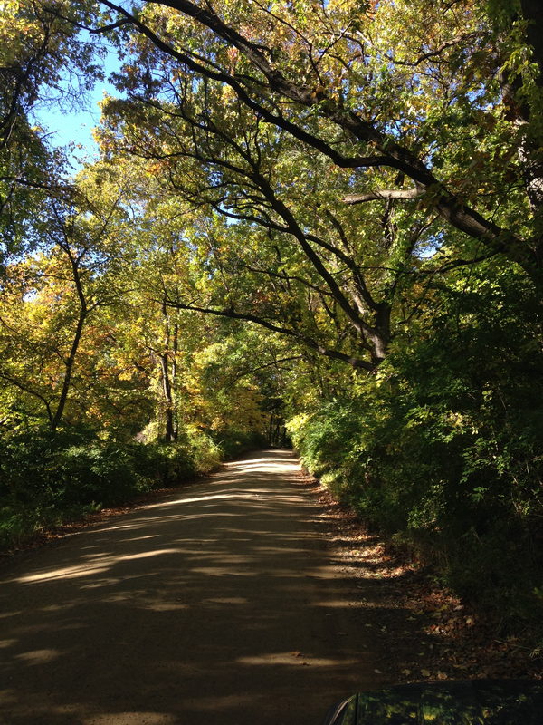 Highland - Livingston Road (newer photo)